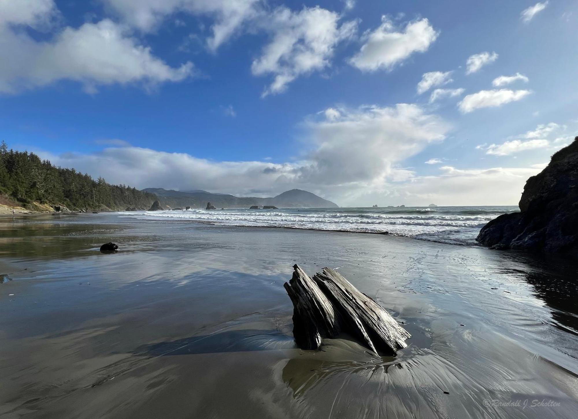 The Cove At Port Orford - 5 Ocean Front Suites ภายนอก รูปภาพ